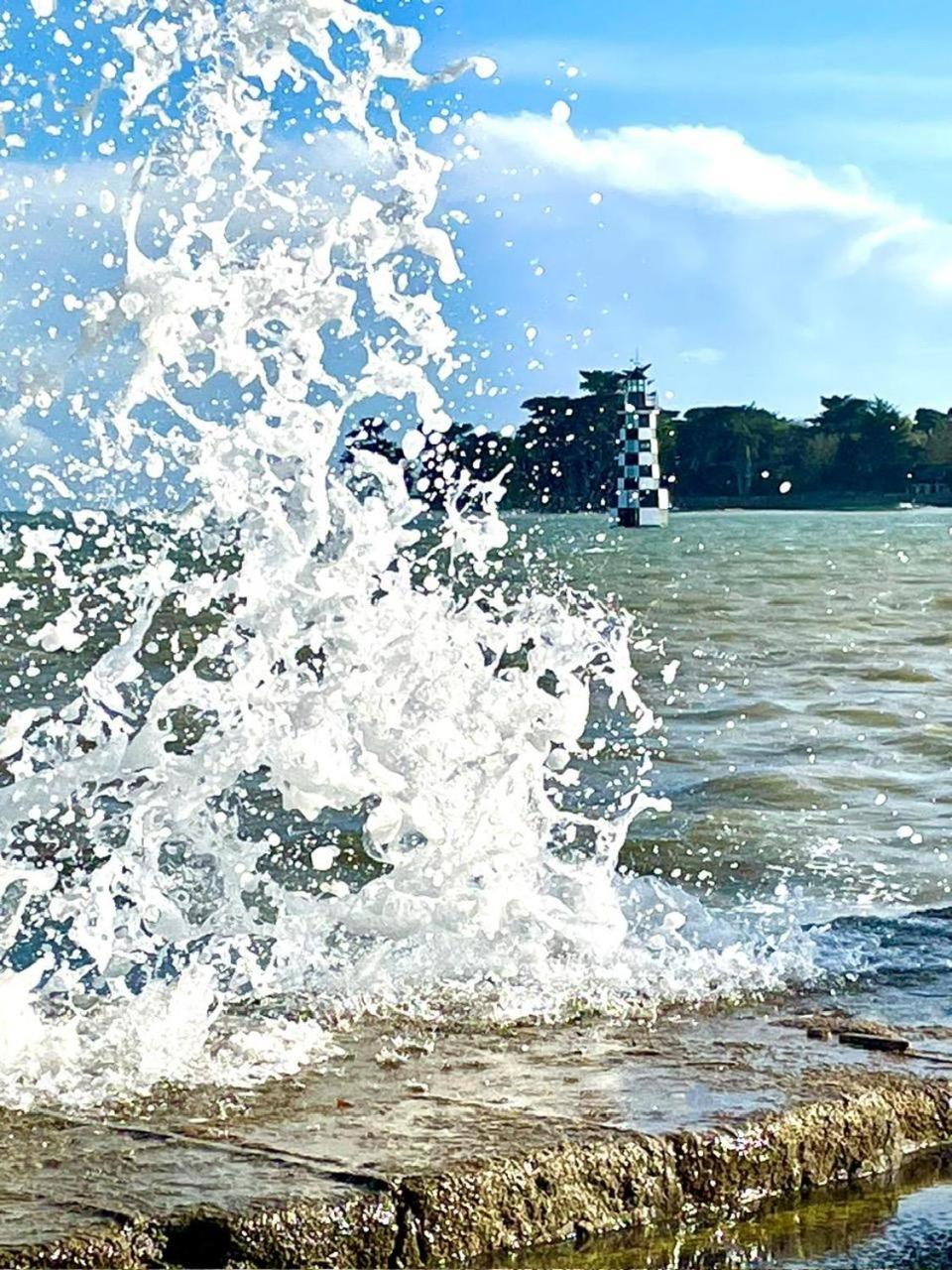 Les Pieds Dans L'eau *